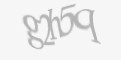 Защитный код