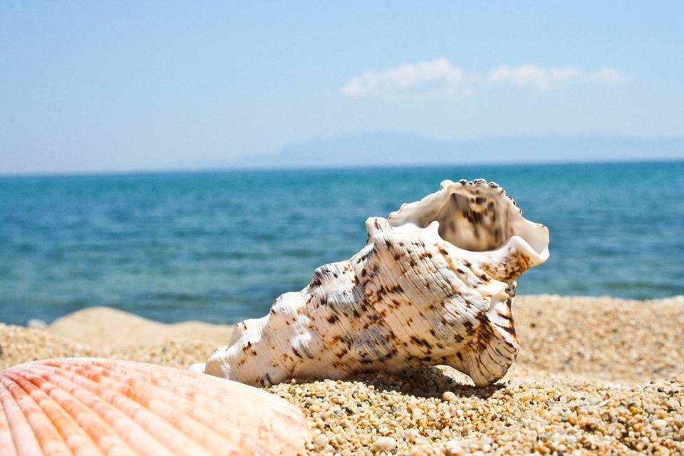 beach 2321649 960 720