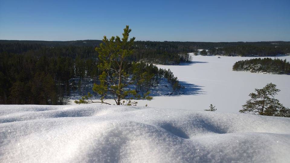 парк реповеси