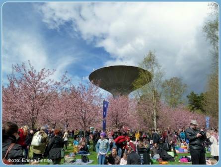 Hanami 1