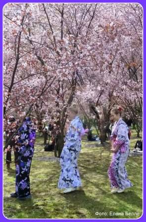 Hanami 3