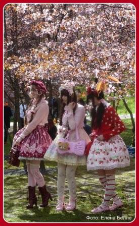 Hanami 5