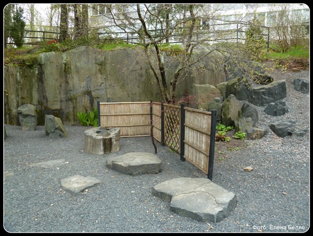 Japanilaistyylinen puutarha 8