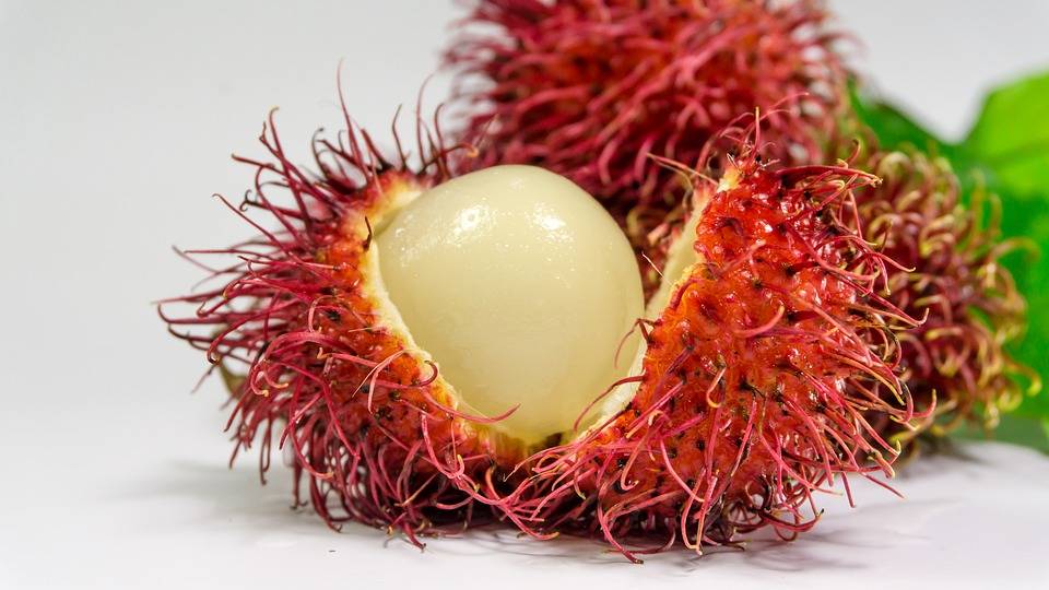 rambutan