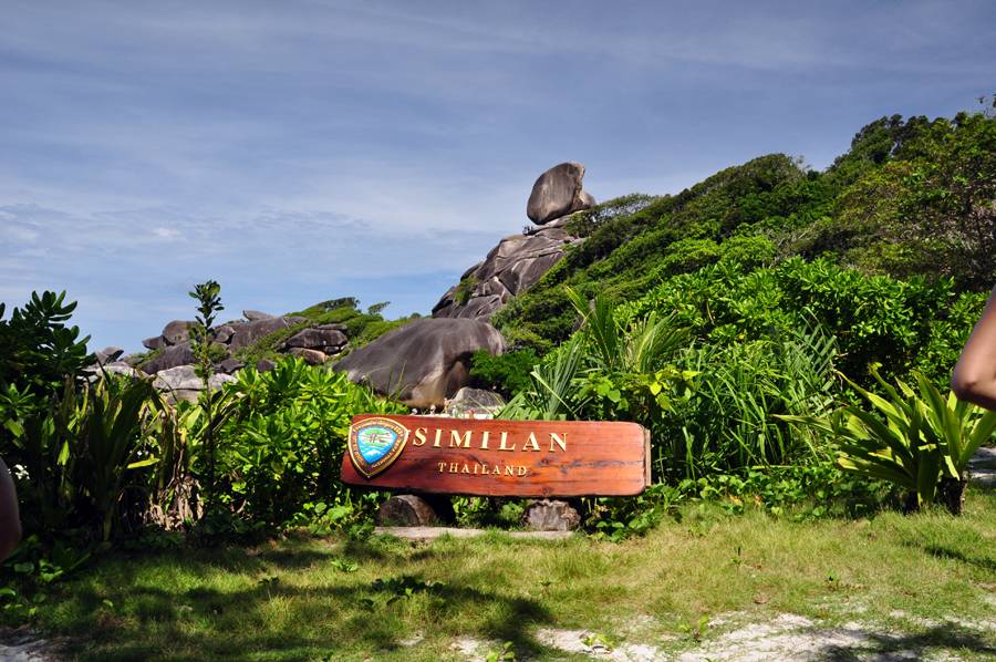 similan 16