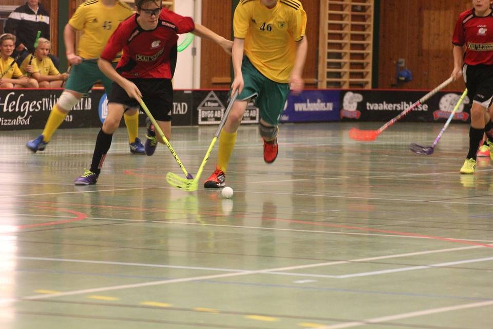 floorball 494818 960 720