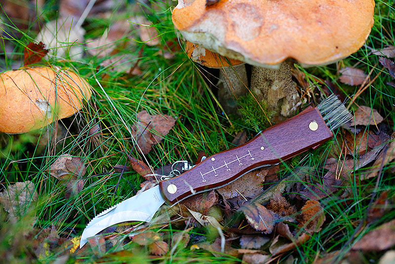 Linder Mushroom Knife