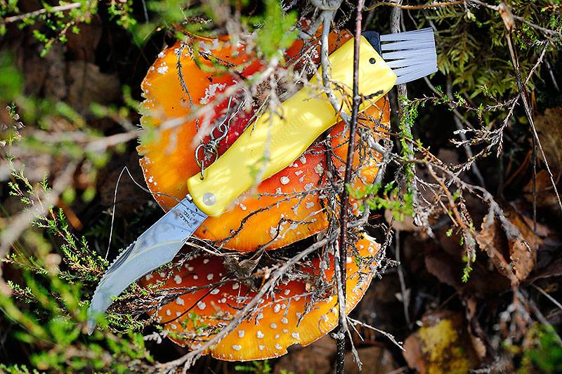 Maserin Mushroom knife